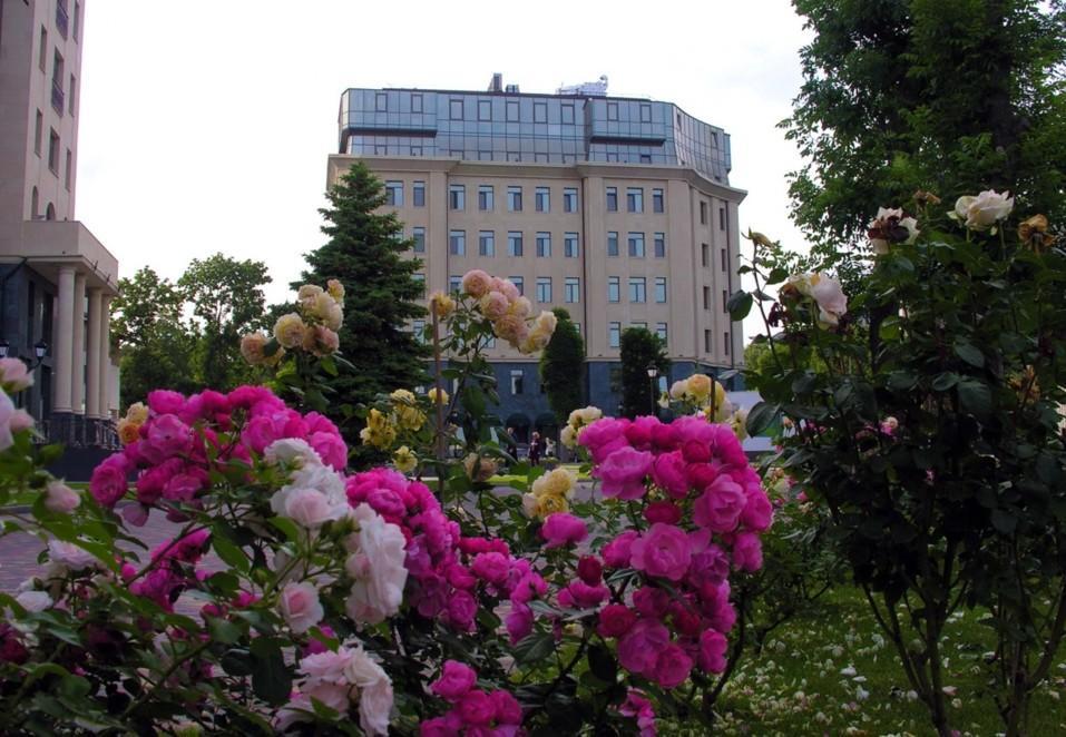 Аrcadia Nataly'S Pearls Appartments Odesa Exterior foto